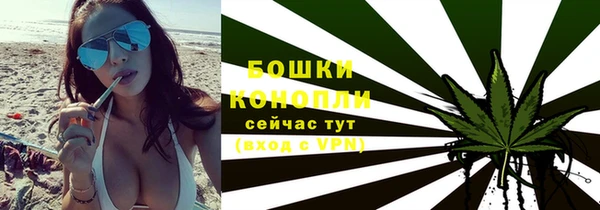прущие грибы Балабаново