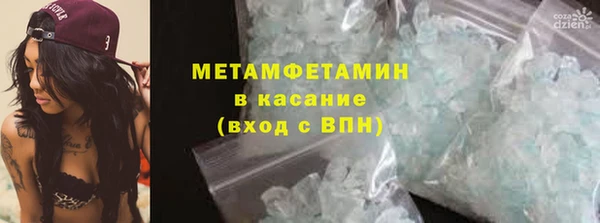 прущие грибы Балабаново