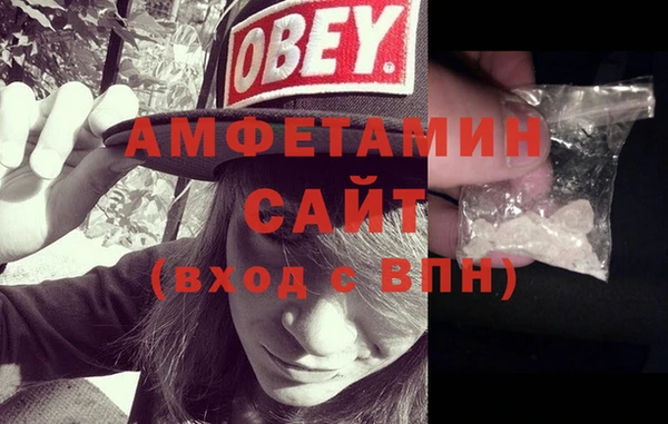 прущие грибы Балабаново