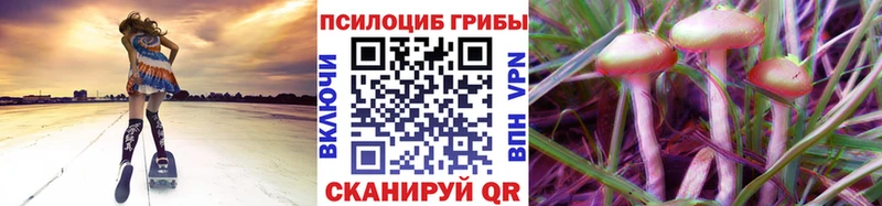 MEGA онион  Унеча  Псилоцибиновые грибы Psilocybe 