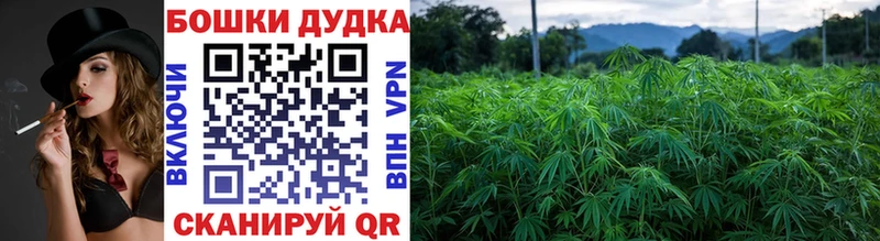 Каннабис MAZAR  Унеча 